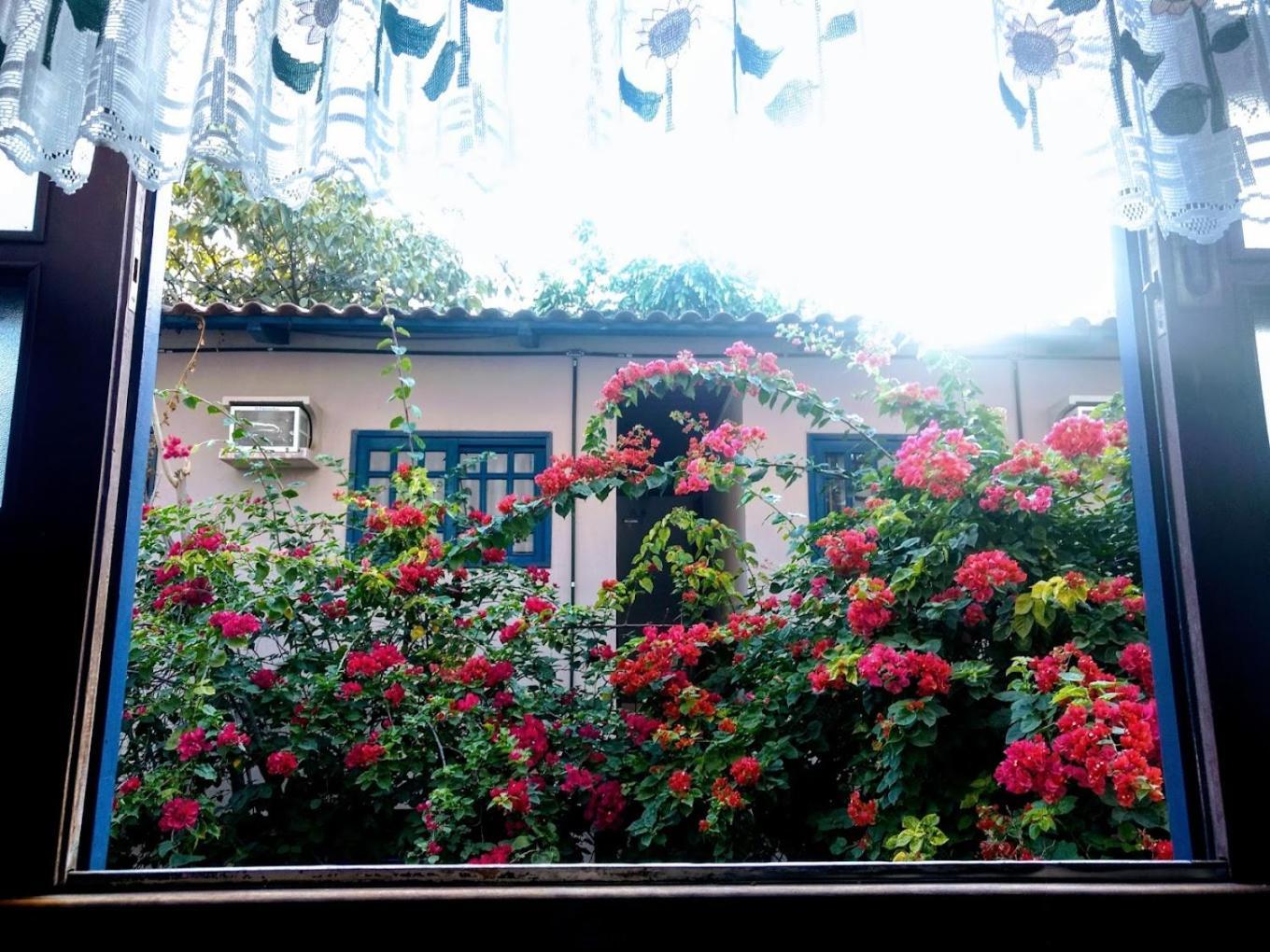 Cr Hotel Bueno - Antigo Hotel Serras De Goyaz ゴイアニア エクステリア 写真 Bougainvillea in the garden of the house